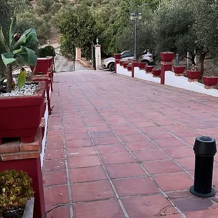 Maria Teresa *